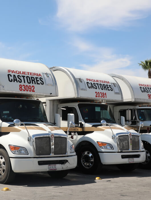 Grupo Castores - Completos