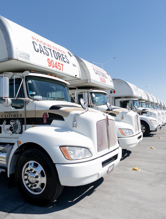 Grupo Castores - Inhouse